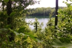 thumbs_238