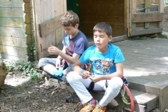 thumbs_43